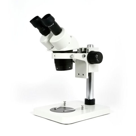 Microscopio binocular ST60 24B1
